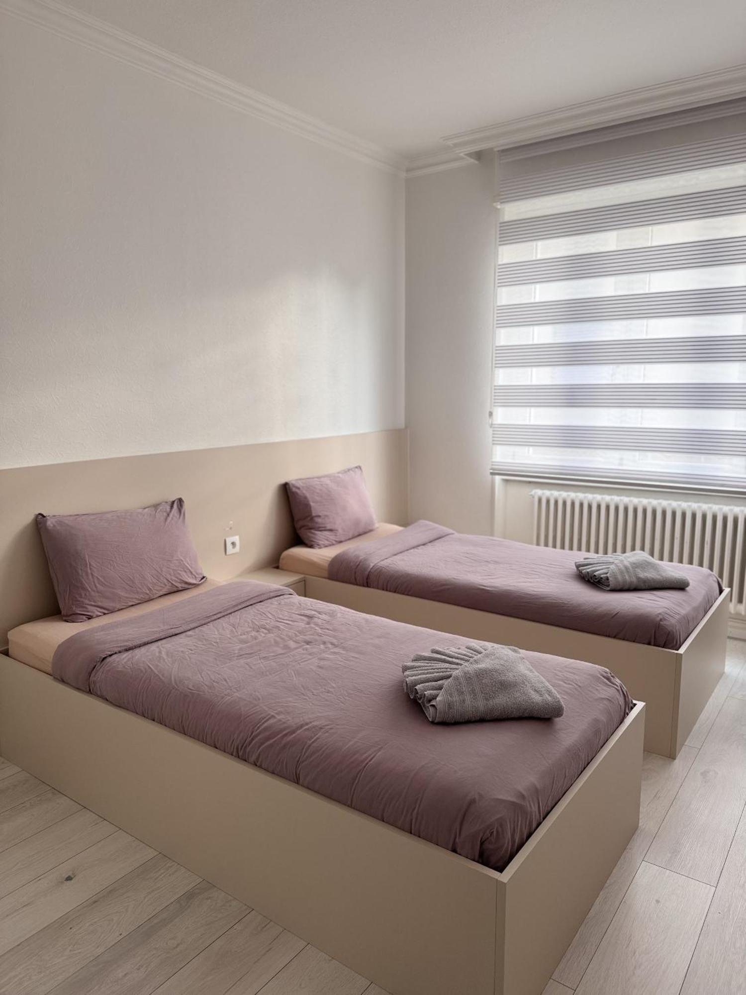 Appartement Des 3 Pays. 2 Mn De Bale+ Free Parking 생루이 외부 사진