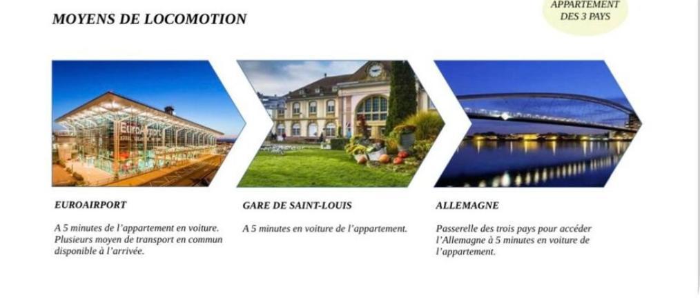 Appartement Des 3 Pays. 2 Mn De Bale+ Free Parking 생루이 외부 사진