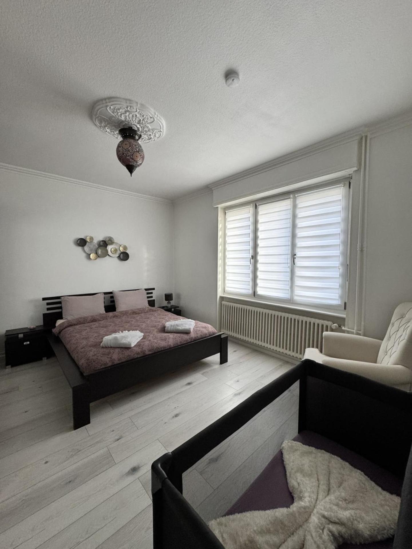 Appartement Des 3 Pays. 2 Mn De Bale+ Free Parking 생루이 외부 사진