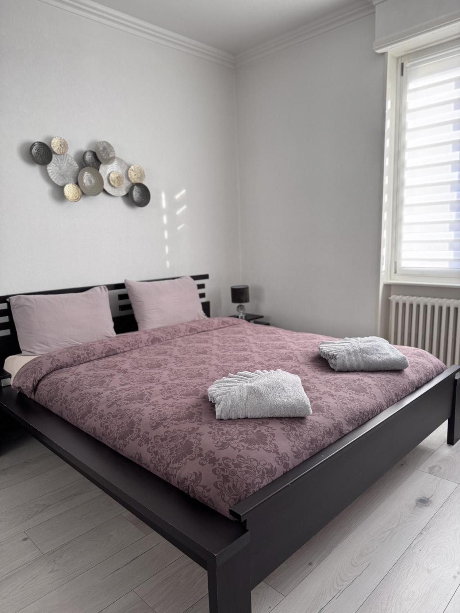 Appartement Des 3 Pays. 2 Mn De Bale+ Free Parking 생루이 외부 사진